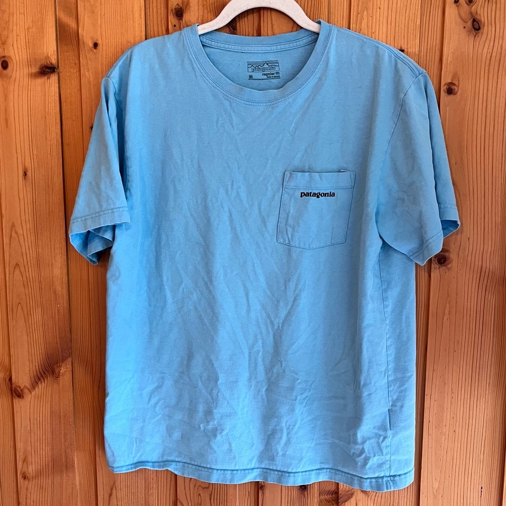 Patagonia Light Blue Organic Cotton T-Shirt